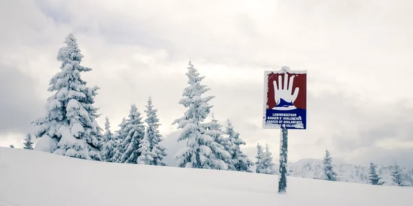Pericol de avalanșă Sursa Pixabay com jpg