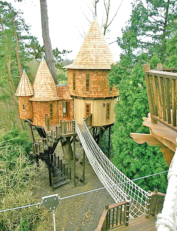 Casa cu turnuri costă 285.000 de euro (1,2 milioane de lei) (fotografii: Blue forest)