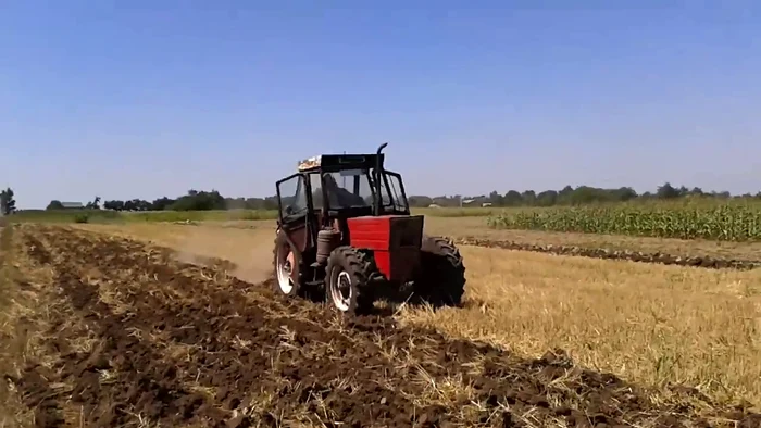 Tractorul U 1010 la muncă, pe câmp FOTO Ioan Buciumar