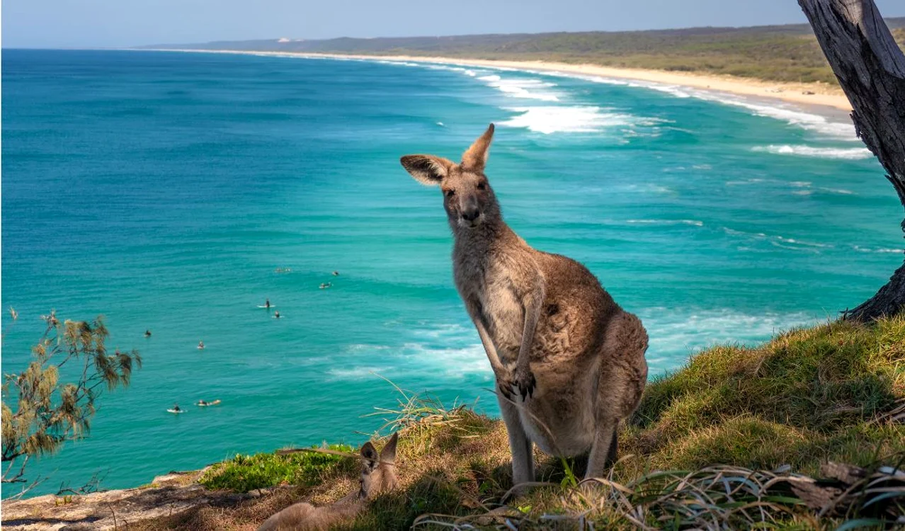 Kangaroo Island - Australia  FOTO australianadventure.travel