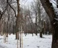 Parcul Municipal Bistriţa 8