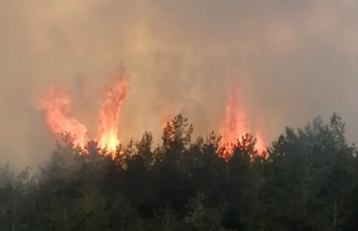 FOTO Arhivă