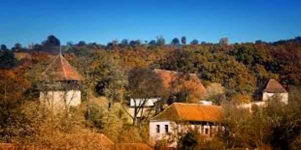 Postare pe tik tok a agresorilor care au ucis un bărbat la Ticuş FOTO wikipedia