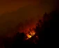 Incendiu de proporții pe Valea Oltului în comuna Racovița Vâlcea Foto Daniel Mîrlea