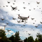 Roi de drone FOTO Shutterstock