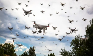 Roi de drone FOTO Shutterstock