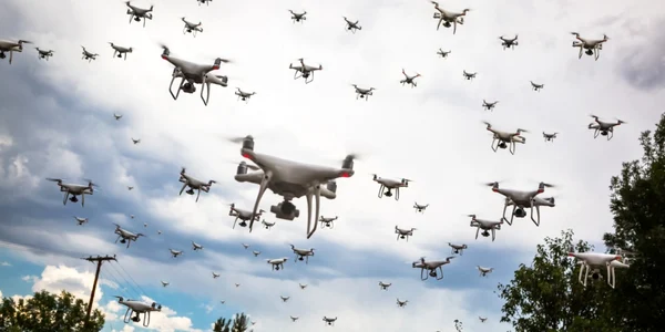 Roi de drone FOTO Shutterstock