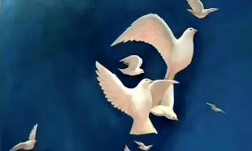 iluzie optica porumbei jpg