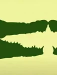 optical illusion crocodilestitle jpg