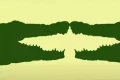 optical illusion crocodilestitle jpg
