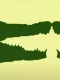 optical illusion crocodilestitle jpg