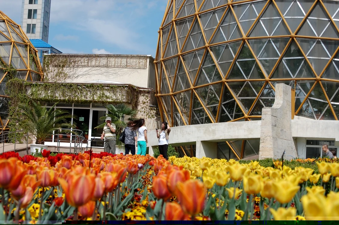 Peste 20.000 de bulbi de lalele au fost plantaţi primăvara aceasta la Grădina Botanică FOTO Olimpia Man
