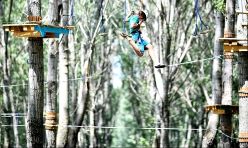 Parcul de aventură are 6 trasee (două uşoare, două medii şi două dificile) jpeg