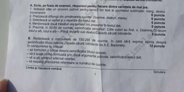 subiecte simulare romana