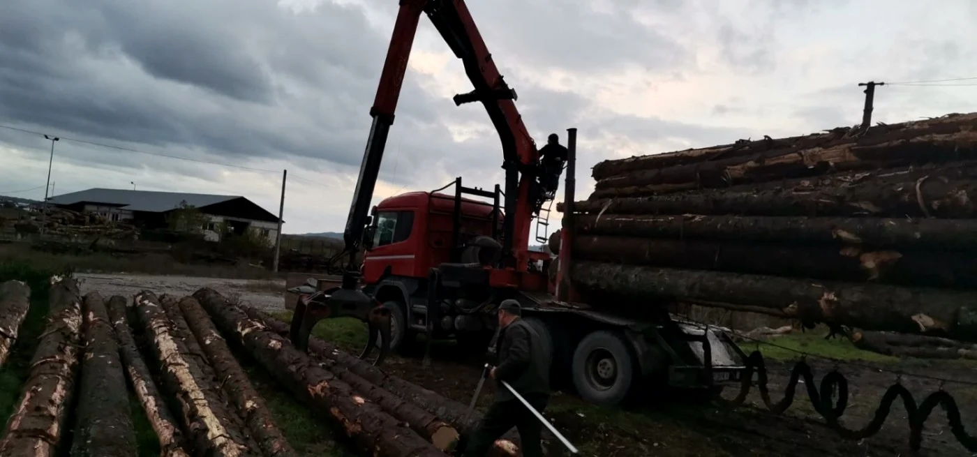 Transport multiplu de lemne cu acelaşi aviz de însoţire a mărfii în Sibiu Foto Adevărul