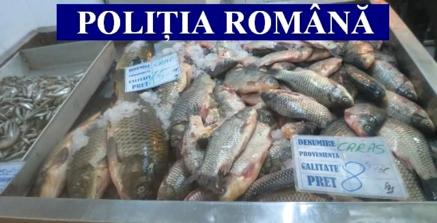 Marfă fără acte sau depozitată în condiţii improprii FOTO IPJ Călăraşi