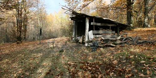 Toamna ne părăseşte. FOTO: ADEVĂRUL