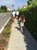 IMG 5316 jpeg