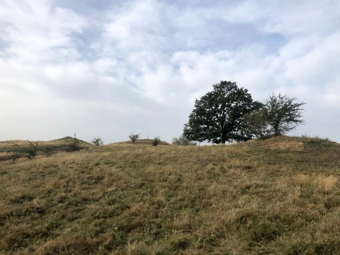 necropola veche de cinci milenii foto muzeul castelului corvinilor