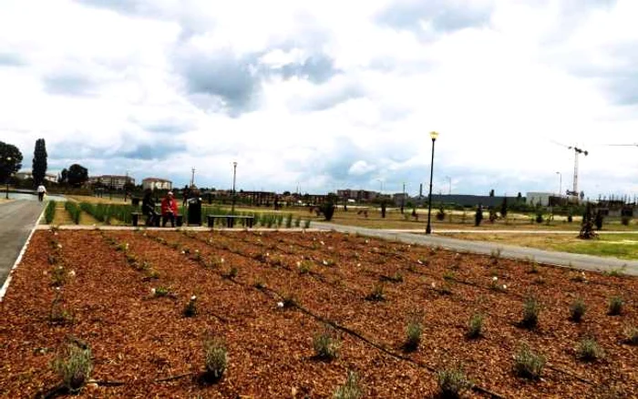 Parcul Salca