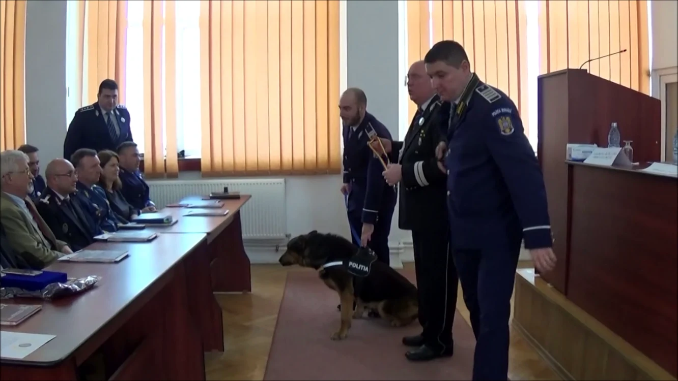 Rik şi camarazii săi Sursa IPJ Buzău