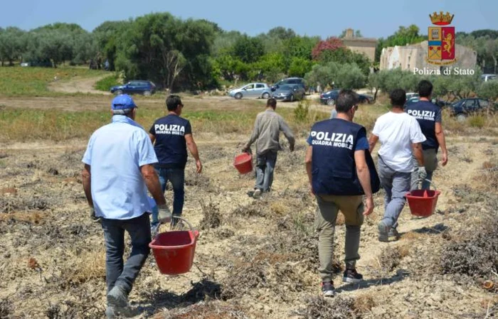 „perchezitii politia Italia ferme”