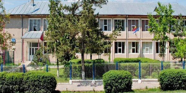 liceulroznov neamt