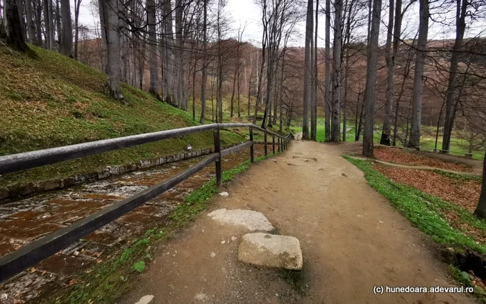 Drumul pavat (stânga) din Sarmizegetusa Regia. Foto: Daniel Guță
