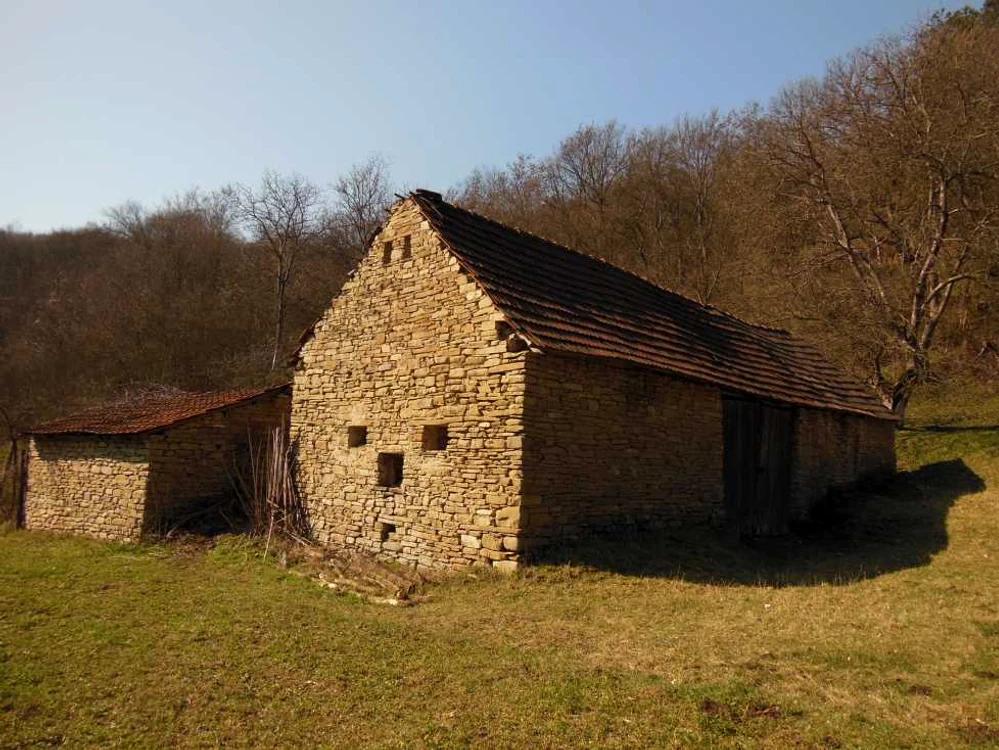 case piatra ceru bacainti