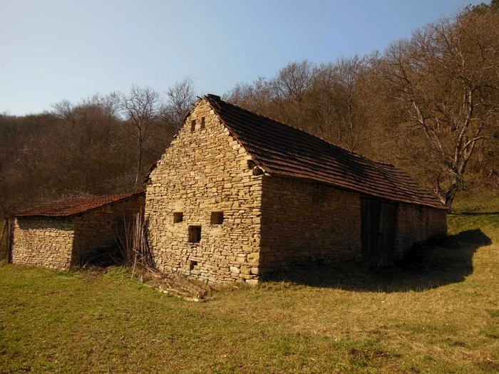 case piatra ceru bacainti