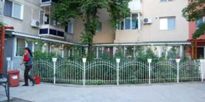 Slatina: Primăria premiază cele mai frumoase cartiere