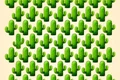 test jpg