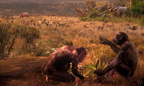 Veriga lipsă din evoluția umană, descoperită în Europa?  FOTO jpeg