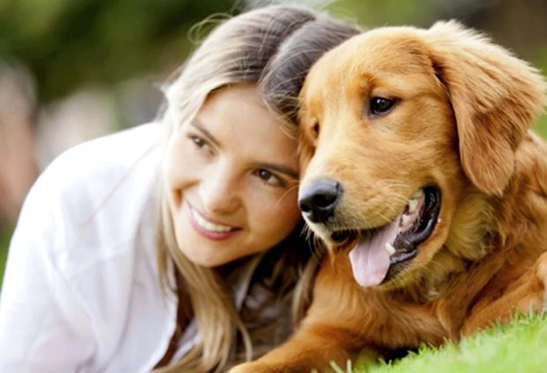 Animalele de companie ne ajută să depăşim anumite momente grele Foto: divhair.ro