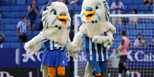 Mascote Espanyol Imago Images png