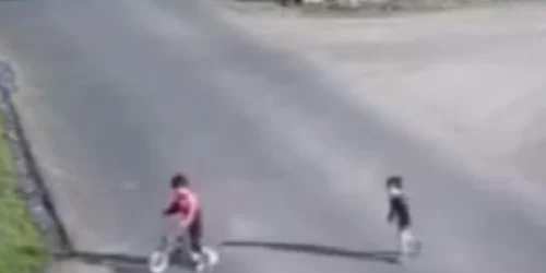 ultimele imagini cu cei doicopii găsiți morți într o baltă captura video youtube info vaslui png