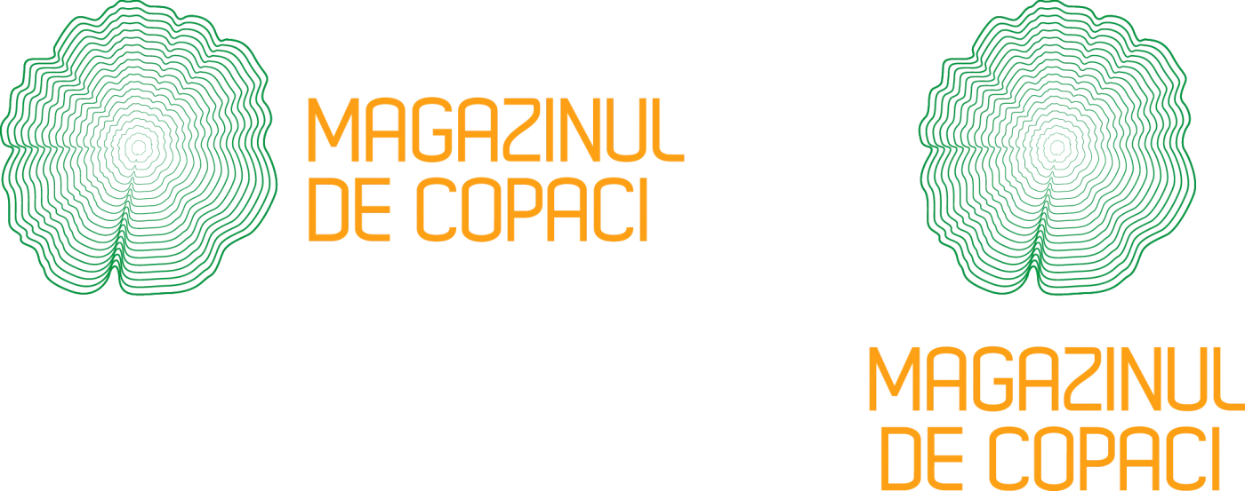 magazinuldecopaci2