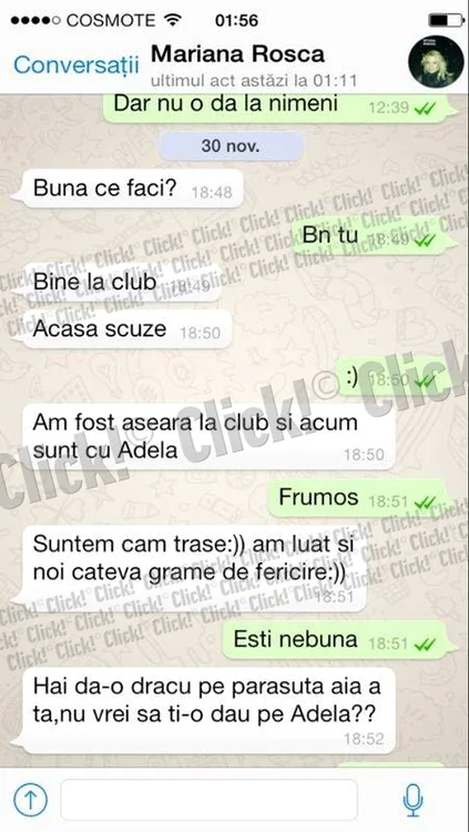 Mesaje între Mariana Roşca şi Leo de la Strehaia