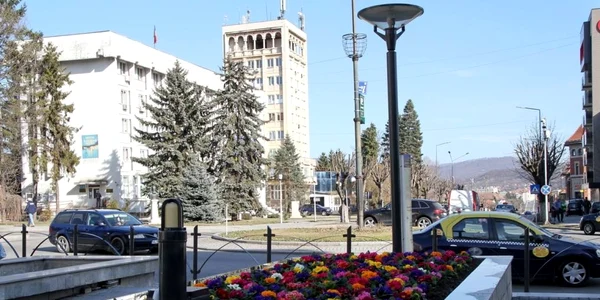 Amenajări florale pe străzile şi în parcurile din Râmnicu Vâlcea Foto Adevărul