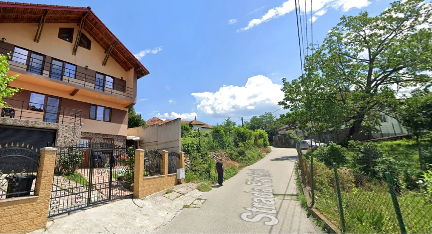 Strada pe care a fost semnalată prezența unui urs în Râmnicu Vâlcea este plină de vile Sursă Google 