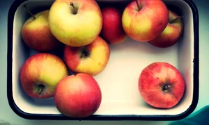 desktop 1460747665 png jpeg