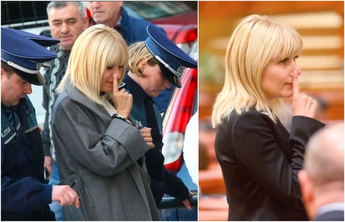 Elena Udrea spune că s-a inspirat de la Celine Dion 