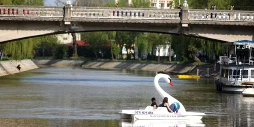 Căpitănia Portului Timişoara vrea să interzică "lebedele" pe Bega 