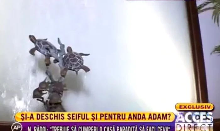 Nick Rădoi (FOTO ACCES DIRECT)