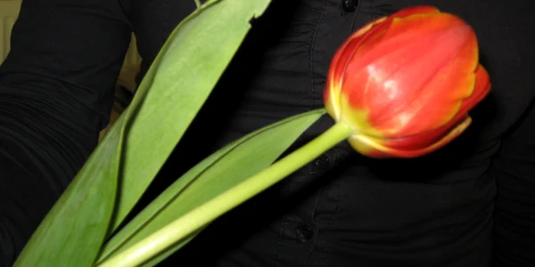 Astăzi, deţinuţii împart flori persoanelor vârstnice
