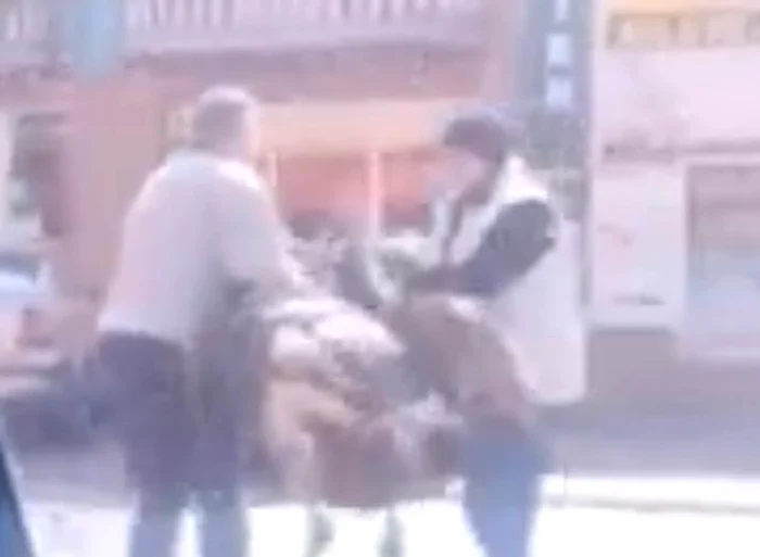 Struțul a fost zărit pe o stradă aglomerată din Găești. FOTO cronica-gaestiului.ro