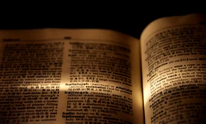 Cuvinte din dictionar jpg FOTO Pixabay