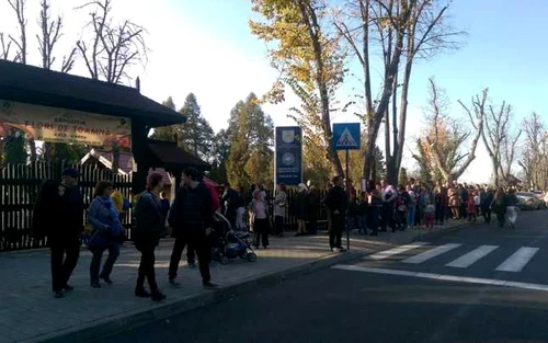 Flori de toamnă în Grădina Botanică Iaşi