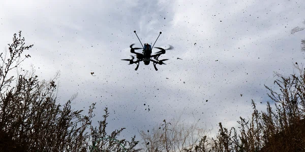 Drone ucrainene pe frontul din Zaporojie FOTO EPA EFE jpg