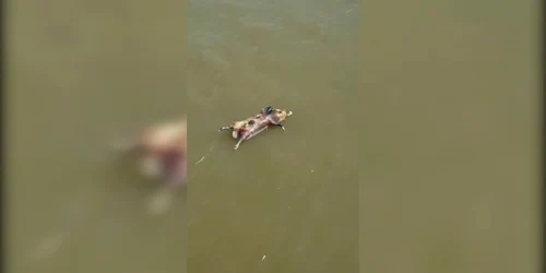 5b6802cedf52022f7511a5fb jpg